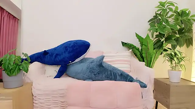 cohaku 329 online show from 9, 1, 2025