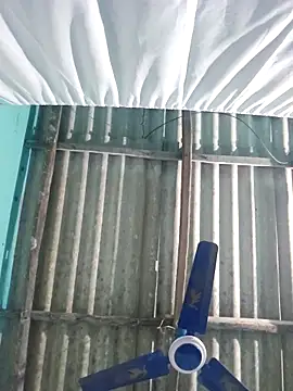 hotbaby 5 online show from 12, 10, 2025