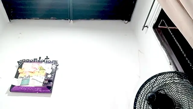 PetiteIvoryQueen19 online show from 18, 11, 2025