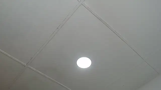 dannaberlin 0 online show from 13, 3, 2025