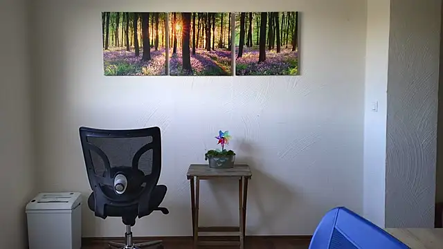 Harry Boldt online show from 10, 11, 2025