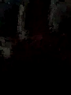 pintuS40 online show from 15, 9, 2025