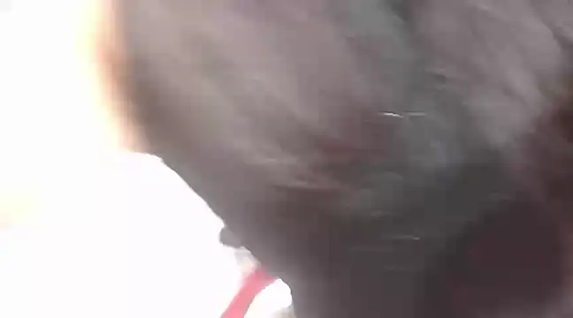 viki mom online show from 21, 1, 2025