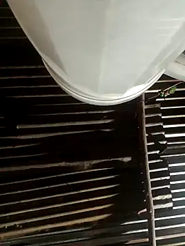 Snapshot of Huebolocko chatting on 10, 2, 2025 Huebolocko online show from 10, 2, 2025