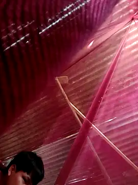 Snapshot of Huebolocko chatting on 31, 10, 2025 Huebolocko online show from 31, 10, 2025