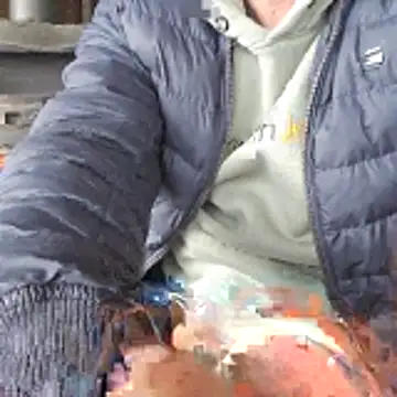 Snapshot of Lumpi1988A chatting on 19, 2, 2026 Lumpi1988A online show from 19, 2, 2026