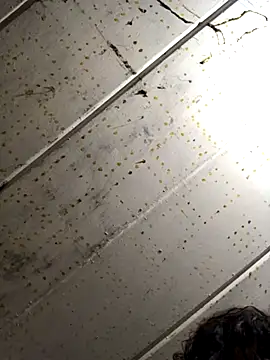 macg96 online show from 4, 12, 2024