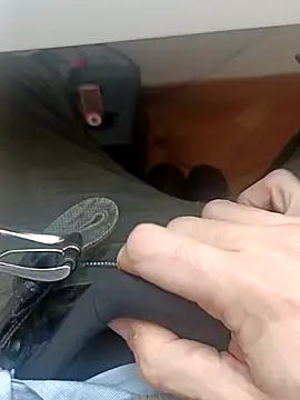 the lion 69 online show from 5, 2, 2026