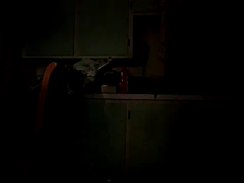 Snapshot of Frankdick01 chatting on 4, 10, 2025 Frankdick01 online show from 4, 10, 2025