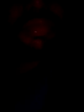 mohitsexy12 online show from 8, 12, 2024