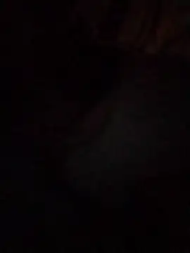 Work4Crypto online show from 21, 3, 2026