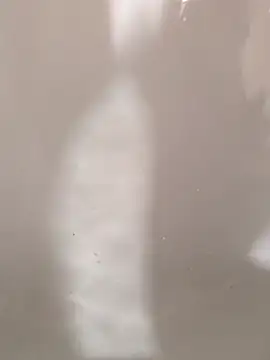 SensualG300 online show from 12, 2, 2026