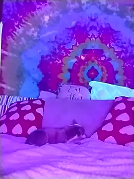 ivylee31 online show from 4, 3, 2026