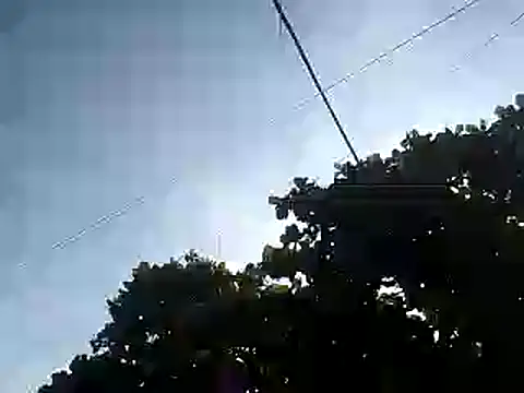 fdvign7 online show from 5, 11, 2025