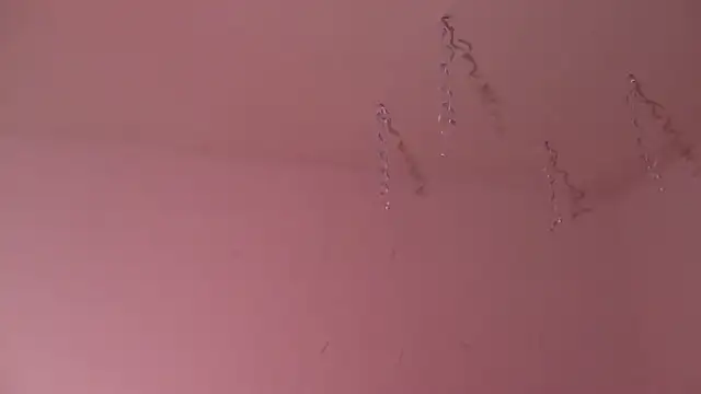 Snapshot of Miss_oliviaa chatting on 3, 1, 2025 Miss oliviaa online show from 3, 1, 2025