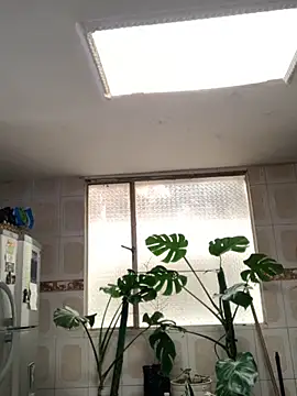 Miss oliviaa online show from 26, 11, 2025