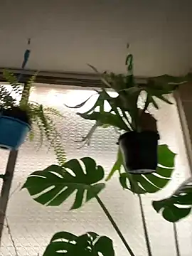 Miss oliviaa online show from 10, 3, 2026