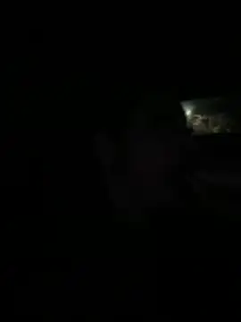 Luluof online show from 18, 11, 2025