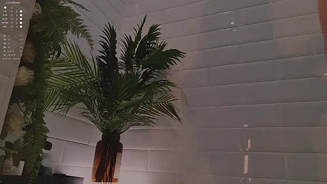 MichaellaMoon online show from 3, 12, 2025