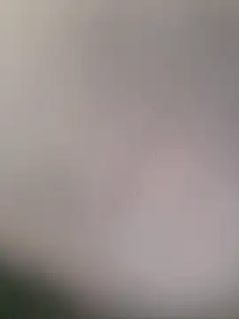 PunchedNorvasc online show from 4, 12, 2025