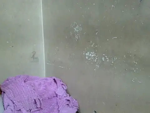 CUET-INDIA online show from 10, 2, 2025