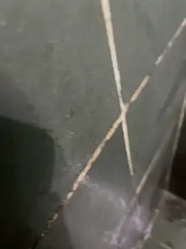 gzn01 online show from 28, 10, 2025