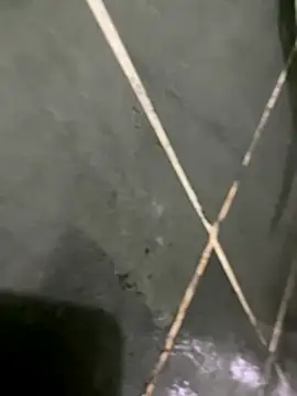 gzn01 online show from 30, 10, 2025