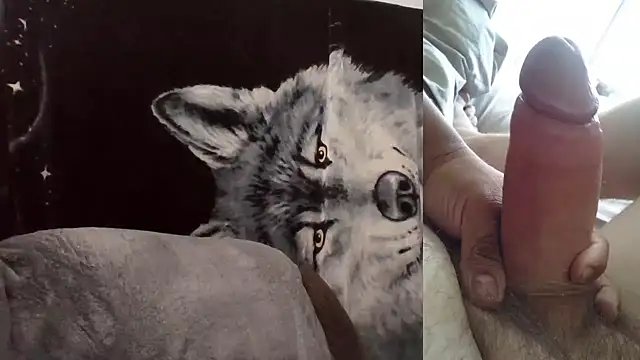 Snapshot of Hornychitown24 chatting on 3, 2, 2026 Hornychitown24 online show from 3, 2, 2026