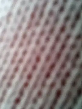 Gardener of Illusions online show from 31, 10, 2025