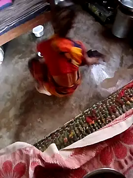 Snapshot of poojaji2024 chatting on 4, 12, 2024 poojaji2024 online show from 4, 12, 2024