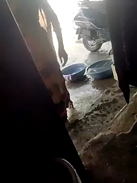 Snapshot of poojaji2024 chatting on 16, 3, 2025 poojaji2024 online show from 16, 3, 2025