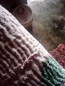 Snapshot of poojaji2024 chatting on 23, 3, 2025 poojaji2024 online show from 23, 3, 2025