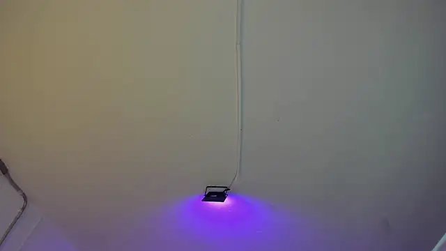 Amy Kiitty  online show from 27, 2, 2026