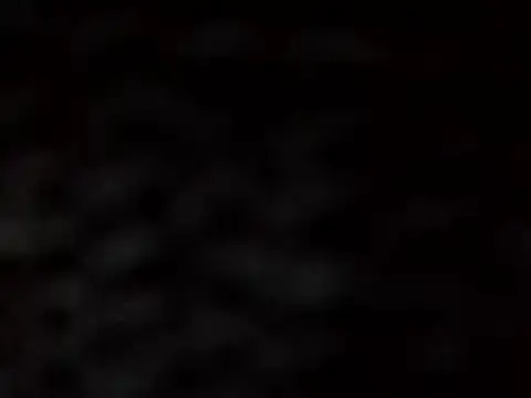 naina-80 online show from 19, 12, 2024