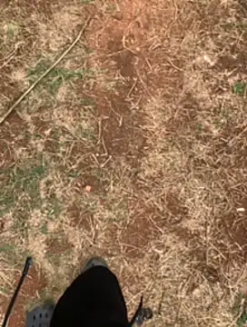 Black mamba madingo online show from 23, 2, 2025