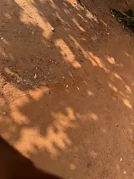 Black mamba madingo online show from 21, 3, 2026