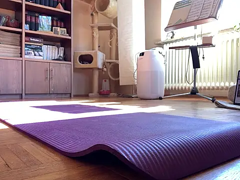 Bula94193 online show from 17, 3, 2025