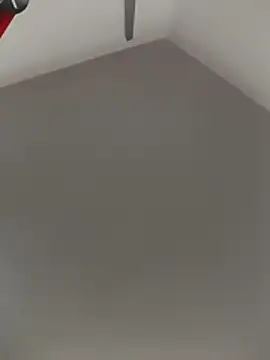 DefiniteTimor online show from 16, 2, 2026