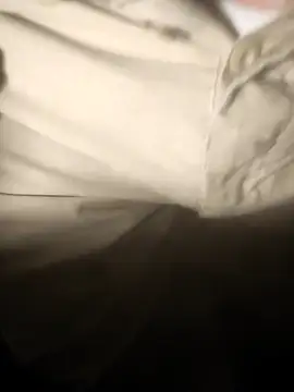 oliveirinhafotografo online show from 28, 2, 2025