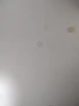 geilerschwanz64 online show from 27, 10, 2025