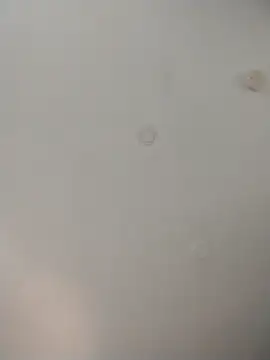 geilerschwanz64 online show from 26, 11, 2025