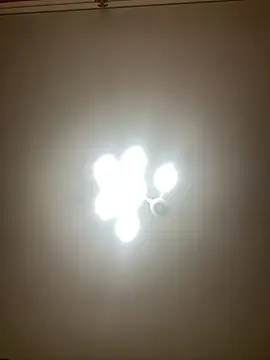 Janet Welder online show from 2, 12, 2024