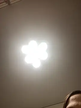 Janet Welder online show from 16, 11, 2025