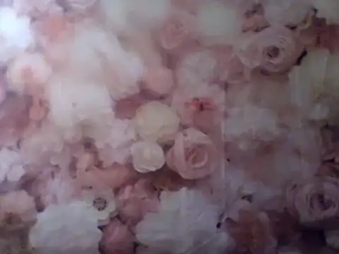 camiliaskye online show from 31, 12, 2024