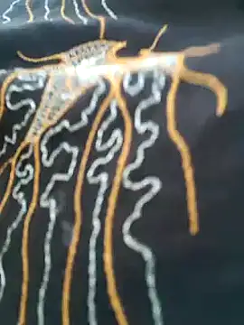 Snapshot of kumaricapalsex2 chatting on 6, 2, 2025 kumaricapalsex2 online show from 6, 2, 2025