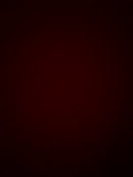 Snapshot of DINA-FOX chatting on 30, 1, 2025 DINA-FOX online show from 30, 1, 2025