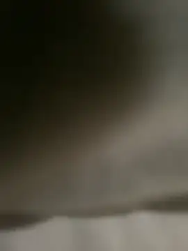 Snapshot of DINA-FOX chatting on 1, 2, 2025 DINA-FOX online show from 1, 2, 2025