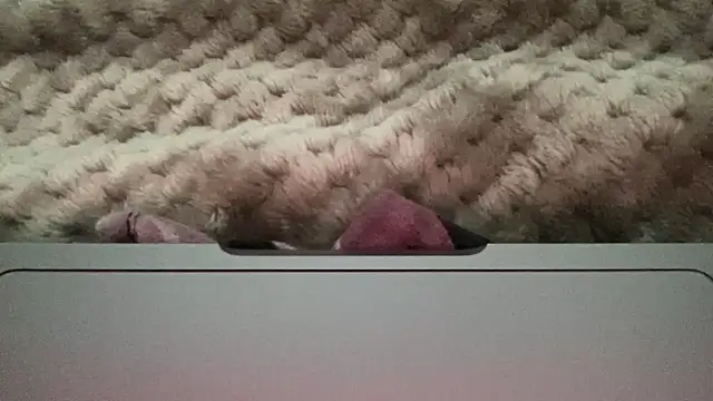 thick n hard online show from 14, 12, 2024