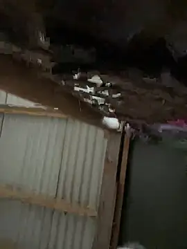 Masked-Minx-Mia online show from 6, 12, 2024