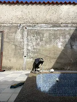 Leo bunny hot online show from 14, 1, 2025